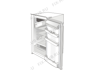 Холодильник Pelgrim KB8204M/P01 (166184, HTI1726) - Фото